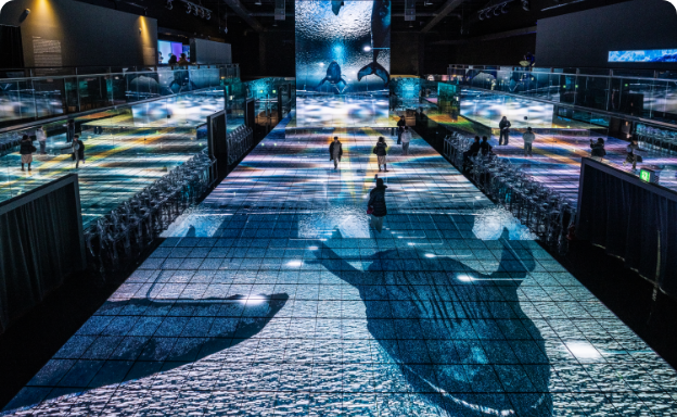 ミュージアムワン