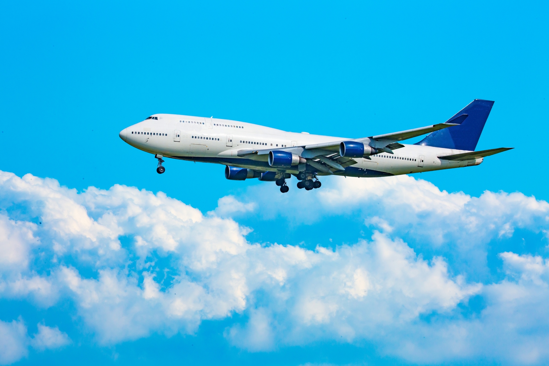 B賞：お好きな国際線 往復航空券（ペア）