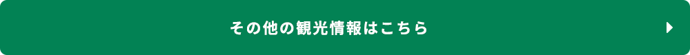 上海の観光に便利情報はこちら