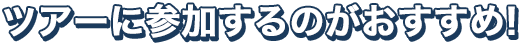 ツアーに参加するのがおすすめ!